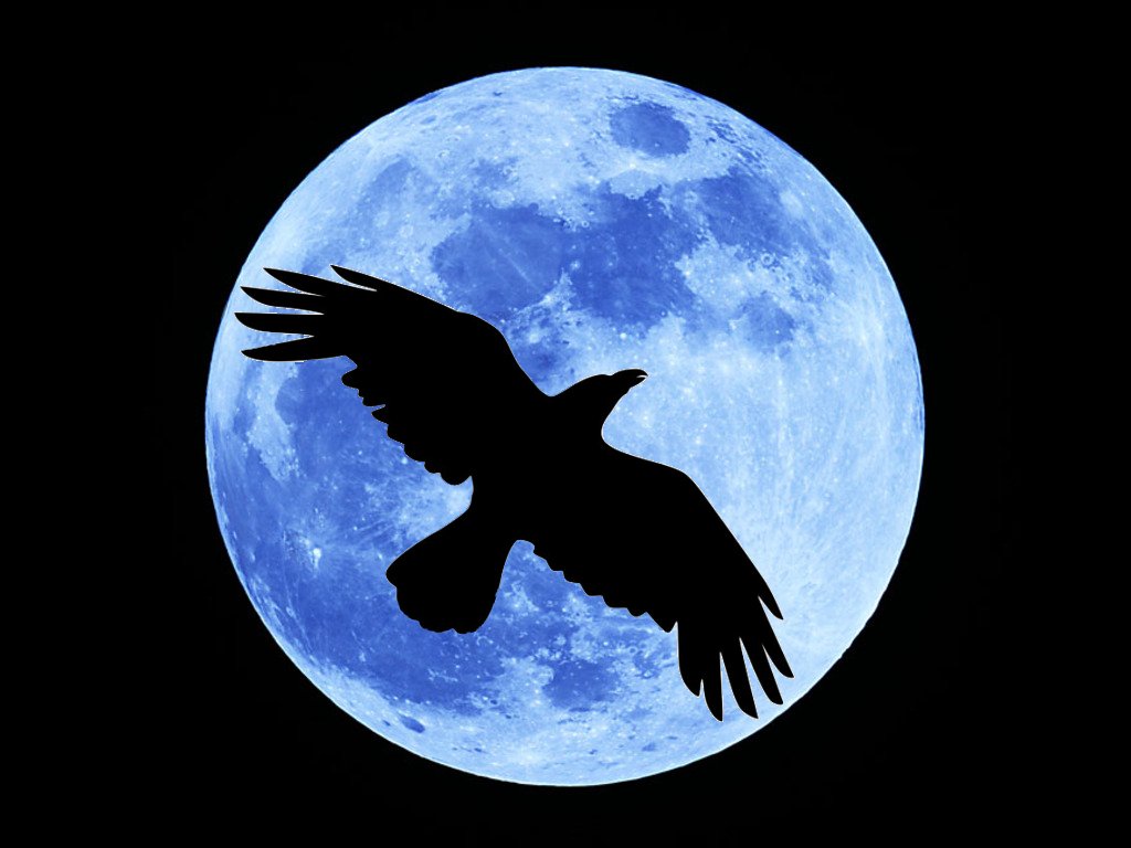 Crow Moon Vollmond im Februar/März Mondmagie Mystik